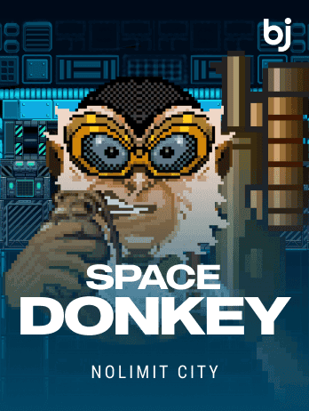 Space Donkeypng
